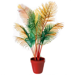 Florida-friendly plant