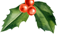 Christmas Leaves and Berries